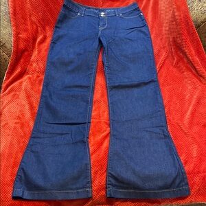 NWOT The Limited High Waisted Flare Blue Jeans 
Sz 8R